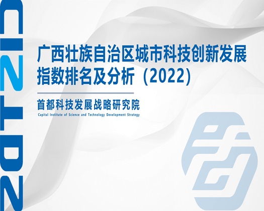 狠狠草大学生屁股【成果发布】广西壮族自治区城市科技创新发展指数排名及分析（2022）